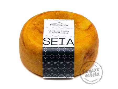 Ovelha reserva velho
